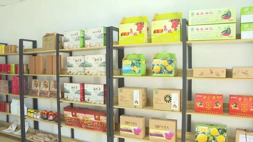 東水村建電商服務站 陽西山旮旯里的農產品插上云翅膀，開辟印刷品裝訂服務新渠道